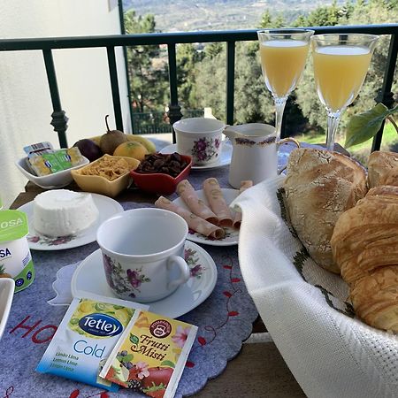 科英布拉Charming Cozy Retreat - Terrace & Private Balcony住宿加早餐旅馆 外观 照片